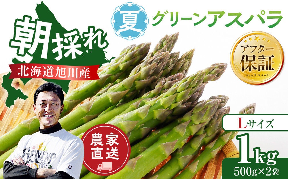 【先行予約】農家直送 朝採れ 夏グリーンアスパラ Lサイズ 1kg(500g×2袋)北海道旭川産(2026年7月中旬発送開始予定)  【野菜 アスパラガス 旬 新鮮 先行予約 アスパラガス あすぱらがす asparagus ASPARAGUS 北海道 旭川市 】_05931