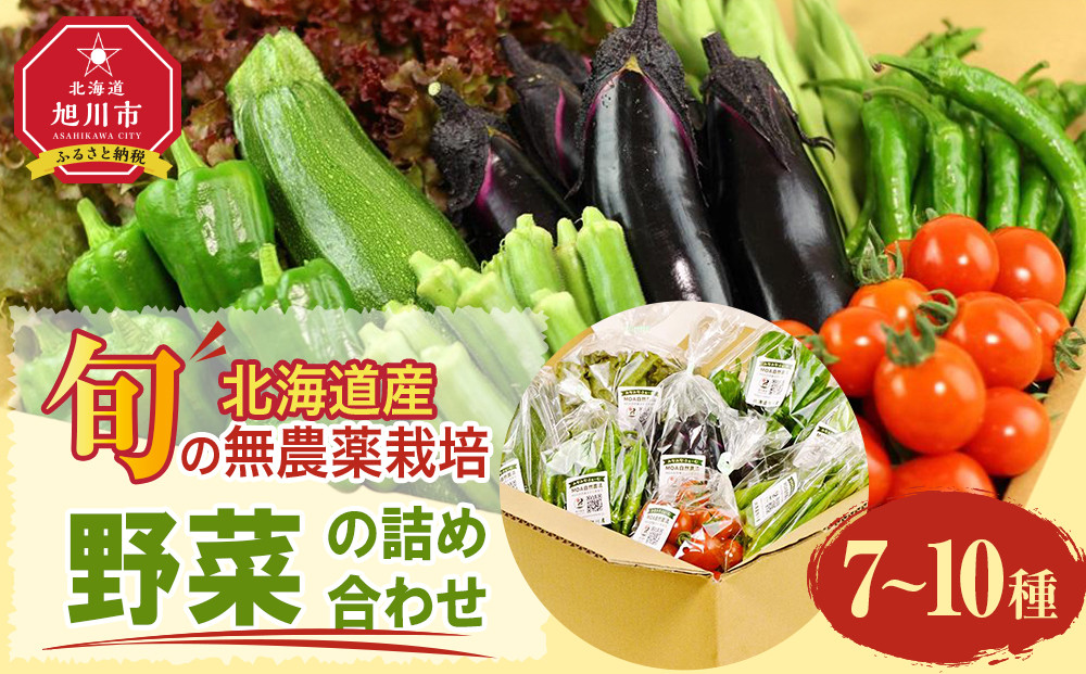 【2026先行予約】【地元雑誌で紹介】【北海道旭川産】旬の野菜詰め合わせ[7～10種類](栽培期間中農薬不使用・化学肥料不使用) 【 ズッキーニ なす トマト きゅうり ししとう なんばん オクラ カボチャ じゃがいも にんじん 北海道産 無農薬栽培 野菜セット 季節の野菜 新鮮 お取り寄せ 野菜ボックス 安全 安心 野菜直送 人気 旭川市 】_02944
