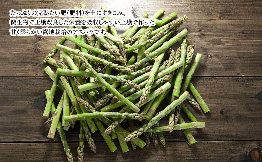 【先行予約】朝採りアスパラ Lサイズ 2kg（500g×4）鮮度保持パック入り 旭川近郊産 露地物(2024年5月中旬発送開始予定)