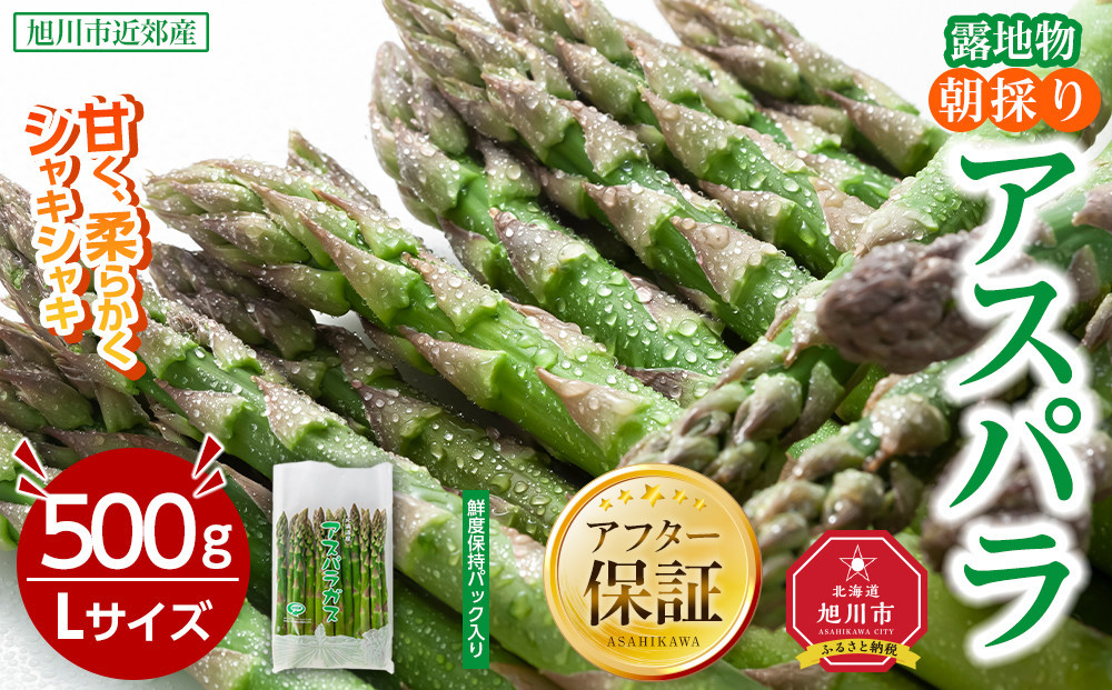 【2026年先行予約】露地物朝採りアスパラ　鮮度保持フィルム入り　Lサイズ　500g×1(5月中旬発送開始予定)【 アスパラ アスパラガス 朝採り とれたて 野菜 旬 小分け 保存 産直 産地直送 お取り寄せ 旭川市 北海道 】_04750