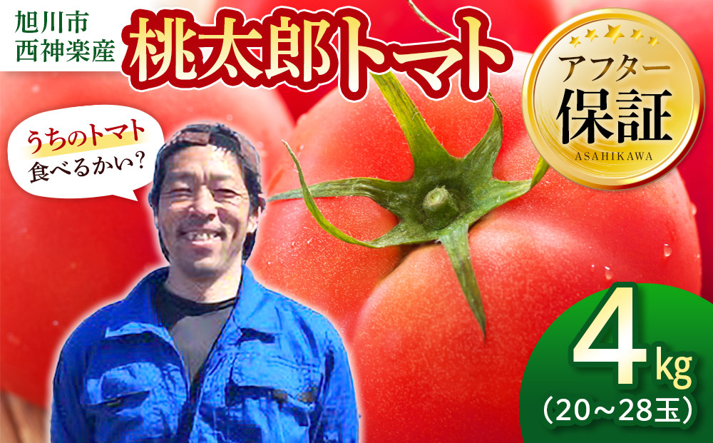 旭川市西神楽産 桃太郎トマト4kg（2026年6月中旬～発送開始予定）_00960