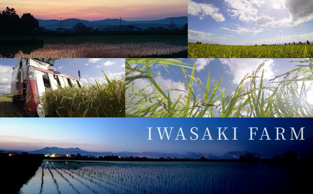 ãå¯é顿¹å® âã什å7幎ç£ããããŽãã 5kgÃ2è¢ 10kgã çœç±³ 粟米 ã飯 ãã¯ã ç±³ 5kg 10kg ãç±³ ãããŽãã æå·åžãµãããšçŽçš åæµ·éãµãããšçŽçš æå·åž åæµ·é ã_05233