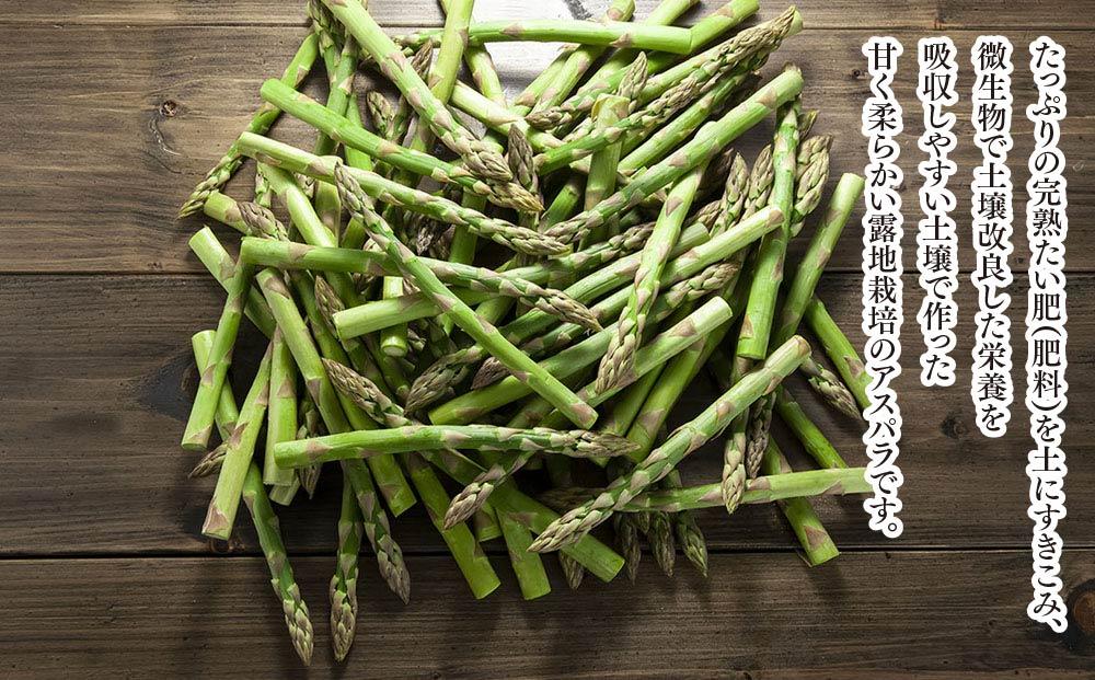 【2026年先行予約】朝採りアスパラ Lサイズ 3kg（500g×6）鮮度保持パック入り 旭川近郊産 露地物(5月中旬発送開始予定) 【 アスパラ アスパラガス 朝採り とれたて 野菜 旬 小分け 保存 産直 産地直送 お取り寄せ 旭川市 北海道 】_01592