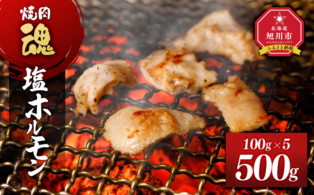 焼肉　魂　塩ホルモン100g×5_04954