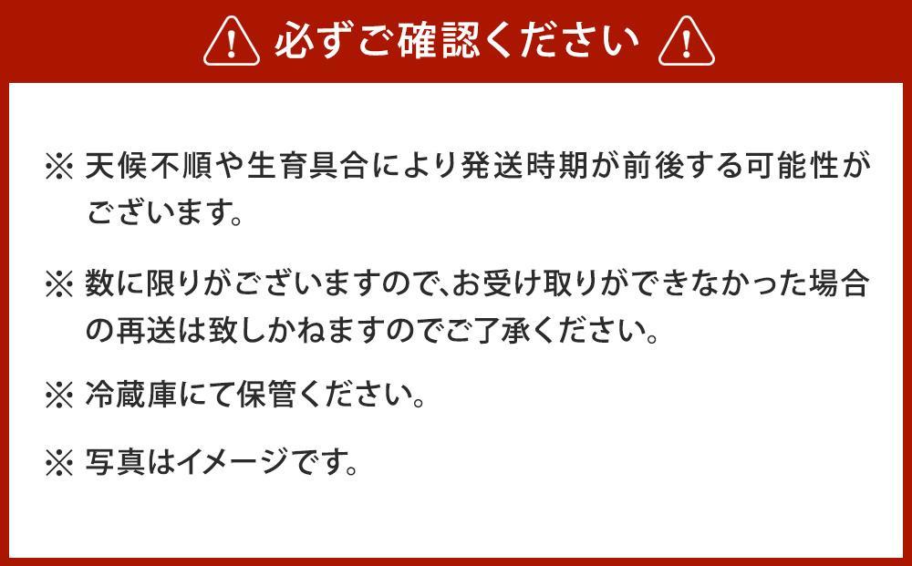 【先行予約】朝採りグリーンアスパラL500ｇ（2025年5月下旬から順次発送予定） 【 アスパラ アスパラガス グリーンアスパラ 朝採り 直送 産地直送 旬 春 北海道 とれたて お取り寄せ 冷蔵配送 冷蔵 旭川市 】 _04657