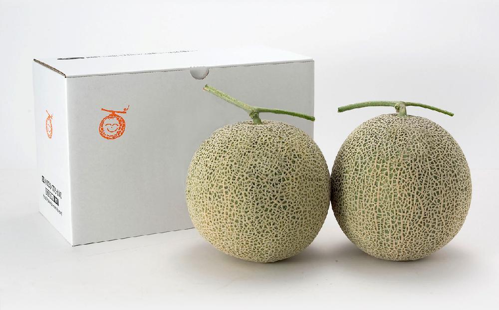【26年発送先行予約】香り豊かな 北海道レッドメロン 2.0kg×2玉(2026年7月下旬から発送開始予定) 【 果物 くだもの フルーツ メロン 赤肉 赤肉メロン 旬 お取り寄せ 甘い 北海道産 旭川市 北海道 】_04541