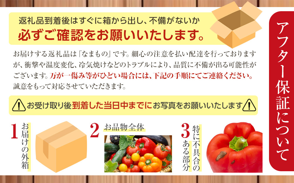 【先行予約】旭川のおまかせ野菜セット(トマト2kg＋3種以上)(2026年7月下旬発送開始)_05910