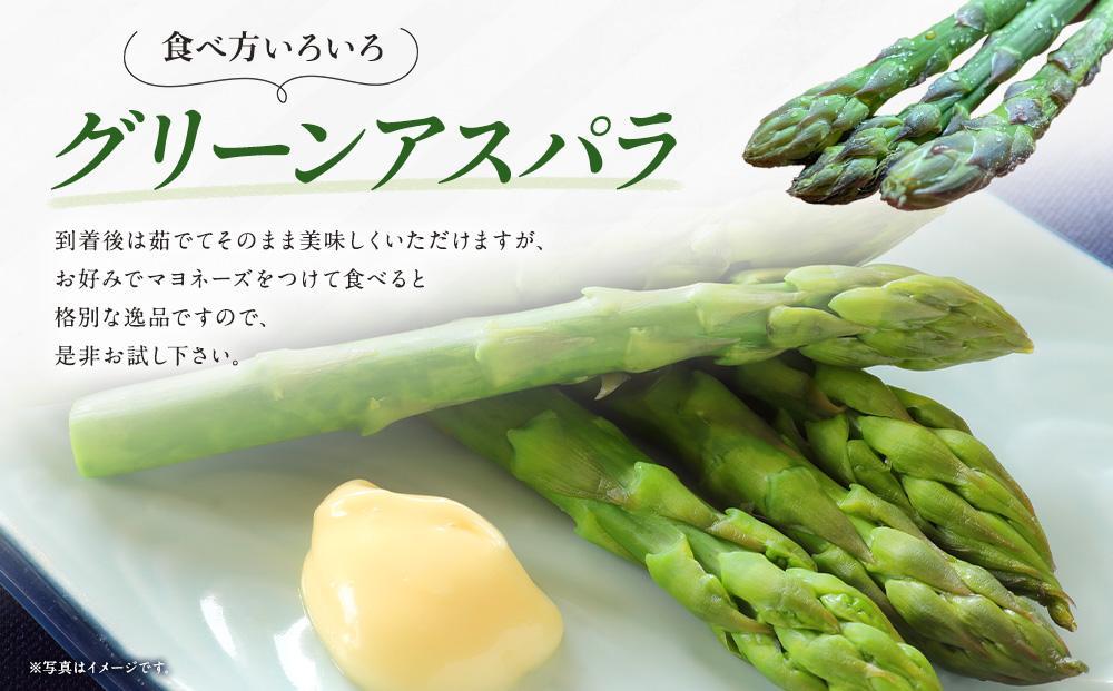 【先行予約】朝採り グリーンアスパラ L 500g (2026年5月下旬発送開始) 【 アスパラ アスパラガス グリーンアスパラ 【先行予約】朝採り 直送 産地直送 旬 春 北海道 とれたて お取り寄せ 冷蔵配送 冷蔵 旭川市 】 _04657