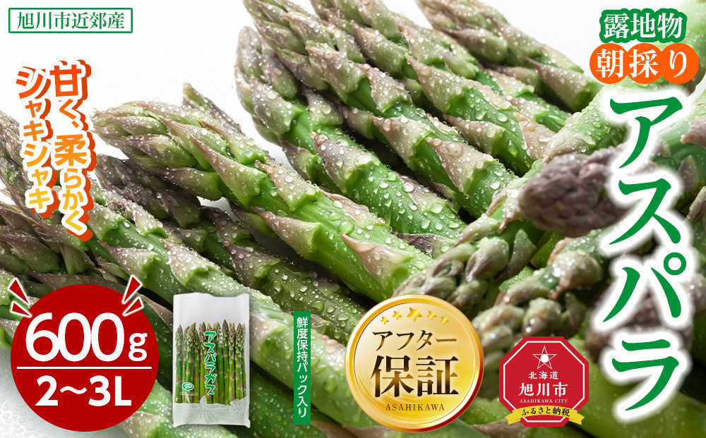 【2026年先行予約】露地物朝採りアスパラ　鮮度保持フィルム入り　2～3L　600g(5月中旬発送開始予定) 【 アスパラ アスパラガス 朝採り とれたて 野菜 旬 小分け 保存 産直 産地直送 お取り寄せ 旭川市 北海道 】_03816
