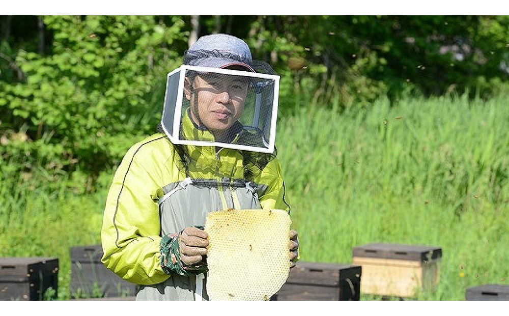 【スティック蜂蜜】アカシア 2.5g×50本入【 ハチミツ はちみつ ハニー 防災グッズ 常温 保存 備蓄 防災食 非常食 保存食 北海道 旭川市 】_05350