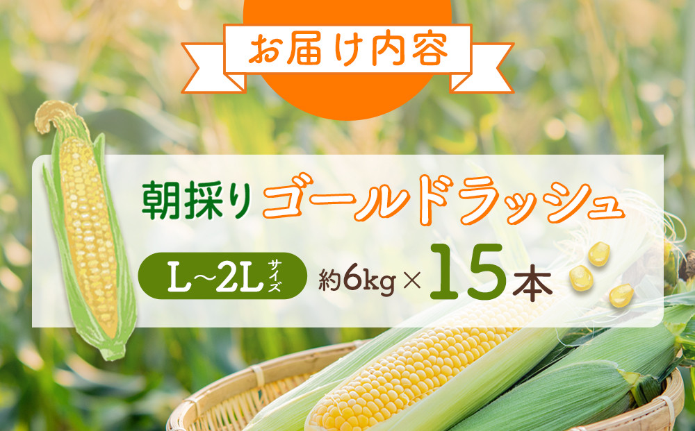 ã26幎å
è¡äºçŽãææ¡ã ãšããããã ãŽãŒã«ãã©ãã·ã¥ çŽ6kg (Lïœ2Lãµã€ãºÃ15æ¬) (2026幎8æäžæ¬çºéäºå®) ã äººæ° åæµ·éç£ ç³åºŠ ç éè ã¹ã€ãŒãã³ãŒã³ ç£å°çŽé ããŒããã¥ãŒ BBQ ã³ãŒã³ æ¬ ãåãå¯ã æå·åž åæµ·é ã_01707