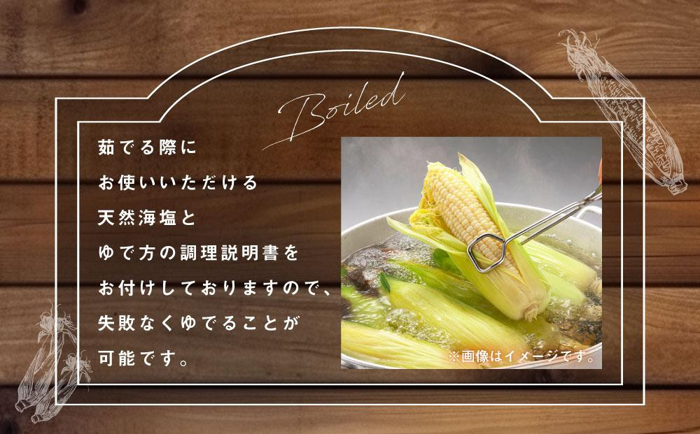 【26年発送先行予約】あさひやま動物園しろくまコーン 10本（約4kg）2026年8月下旬から発送開始予定 【 とうもろこし 人気 北海道 糖度 野菜 白いとうもろこし 白いスイートコーン 産地直送 ホワイトレディ コーン 玉蜀黍 旬 お取り寄せ 旭川市 北海道 】_00308