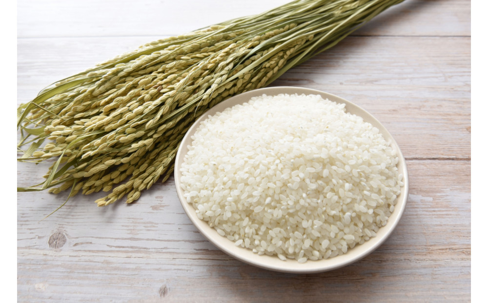 什å7å¹Žåæµ·éç£ ããã397 5kgïŒ5kgÃ1è¢ïŒãæå·åžç£ã_05643