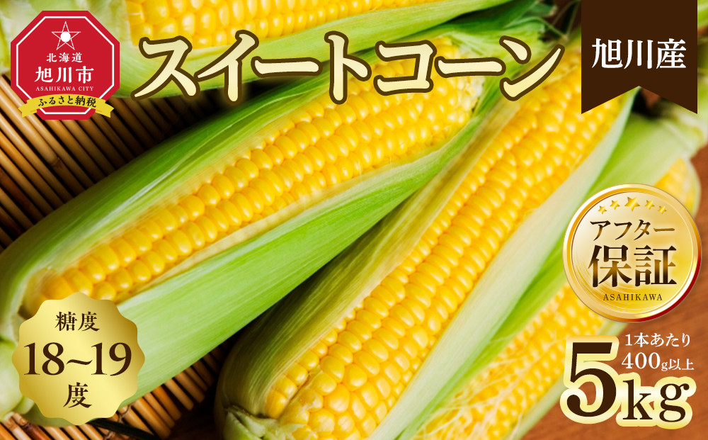地元テレビで紹介!【先行予約】糖度18～19度! 北海道旭川産スイートコーン約5kg (2026年8月中旬発送開始予定) 【 とうもろこし コーン ゴールドラッシュ 野菜 旬 お取り寄せ 北海道 旭川市 】_05256