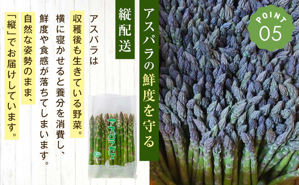 【2026年先行予約】朝採りアスパラ Lサイズ 1kg（500g×2）鮮度保持パック入り 旭川近郊産 露地物(5月中旬発送開始予定) 【 アスパラ アスパラガス 朝採り とれたて 野菜 旬 小分け 保存 産直 産地直送 お取り寄せ 旭川市 北海道 】_01590