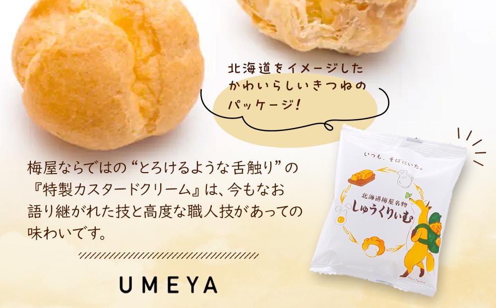 【定期便】梅屋名物「しゅうくりぃむ」　12個　（3回隔月発送） 【 シュークリーム 菓子 お菓子 おかし スイーツ デザート 洋菓子 旭川 北海道 人気 お楽しみ セット 食品 】_04856