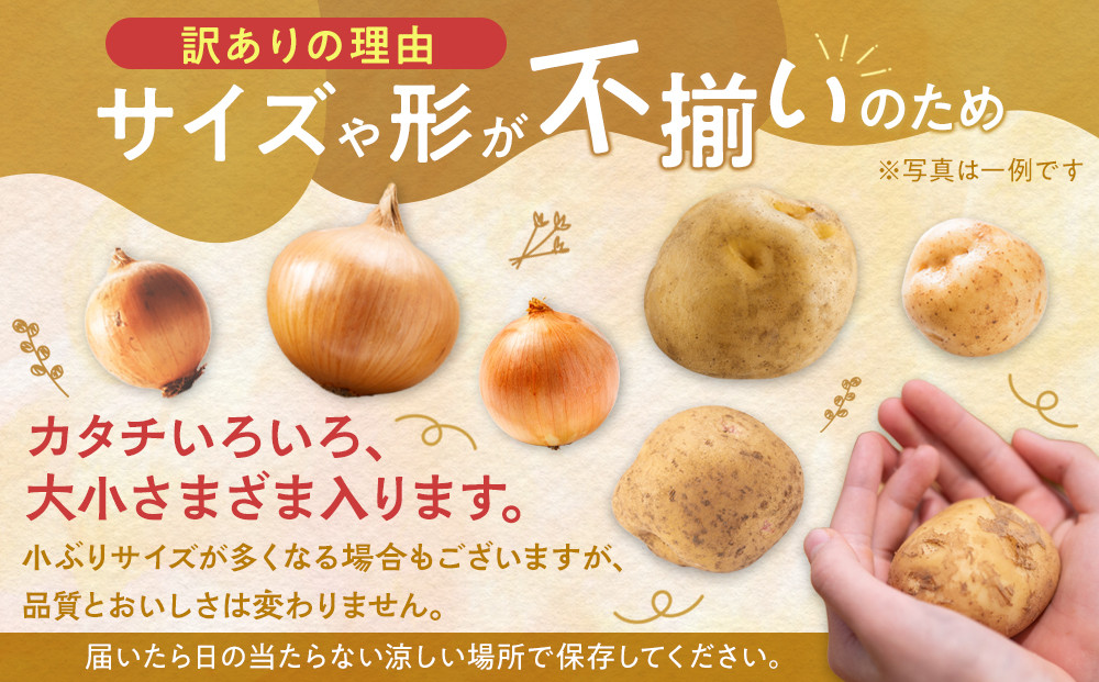 ãå
è¡äºçŽããµã€ãºäžæãèš³ãã åã®æµã¿çããã»ããããããåèšçŽ4kgã»ããïŒ2026幎9æäžæ¬ããçºéäºå®ïŒã è çè± éè ç£å°çŽé æ¬ ãåãå¯ã è©°ãåãã æå·åž åæµ·é ã_04660