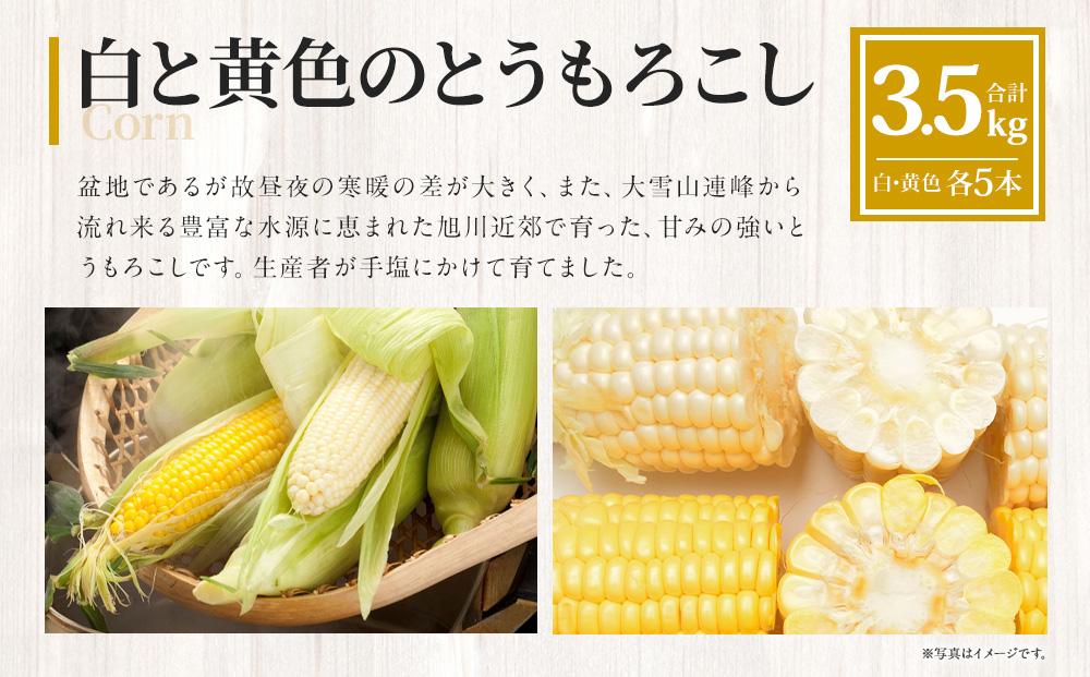 â2026幎çºéå
è¡äºçŽâãå®æäŸ¿ïŒå
š3åãæ¬ã®æ¥µå³ïŒãåžå Žå³éžãéèã»æç©ã»ãã ãã»ãã æå·ç£ ã¡ãã³ èµ€è ãšããããã ã°ãªãŒã³ã¢ã¹ãã© ã¢ã¹ãã©ã¬ã¹ ããŠã¢ãã³ã· ãã«ãŒã éè æ¬ å®æäŸ¿ æç© æå·åž åæµ·éãµãããšçŽçš ã_01562