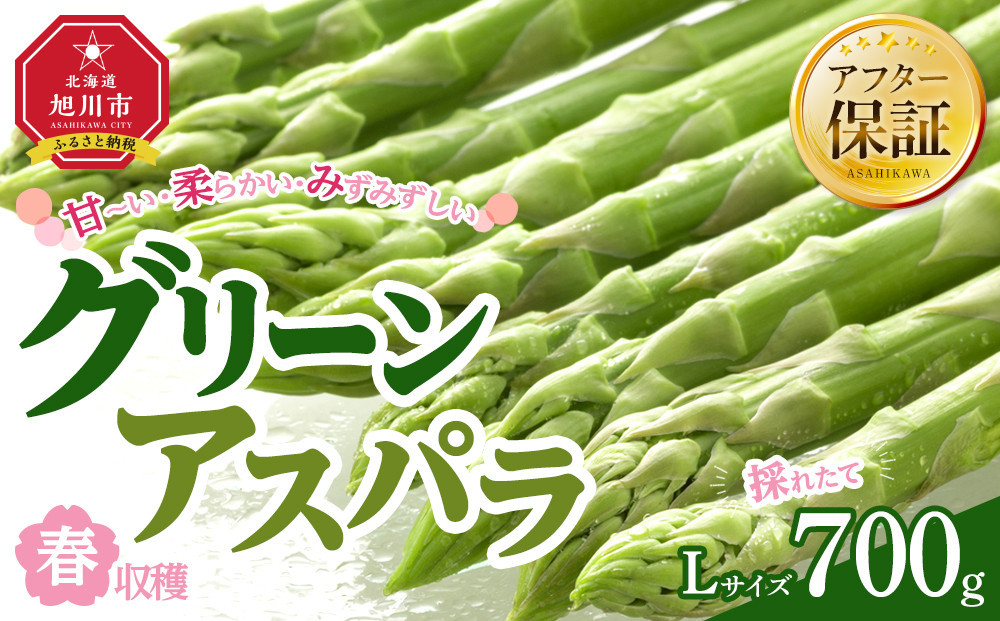 【先行予約】春収穫グリーンアスパラ Lサイズ 700g（2026年6月上旬から発送開始予定）【 アスパラ アスパラガス 朝採り とれたて 野菜 旬 小分け 保存 産直 産地直送 お取り寄せ 旭川市 北海道 】_04558