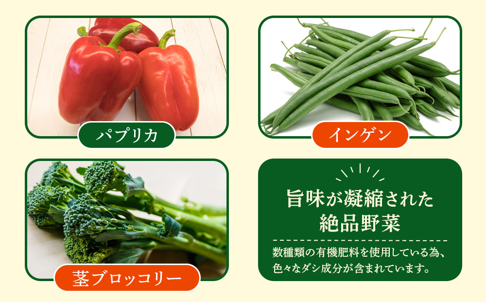 【先行予約】旭川のおまかせ野菜セット(8種以上) (2026年7月下旬発送開始)_05909