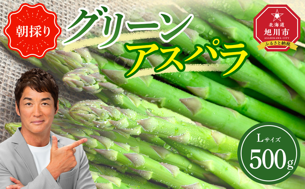 【先行予約】朝採り グリーンアスパラ L 500g (2026年5月下旬発送開始) 【 アスパラ アスパラガス グリーンアスパラ 【先行予約】朝採り 直送 産地直送 旬 春 北海道 とれたて お取り寄せ 冷蔵配送 冷蔵 旭川市 】 _04657