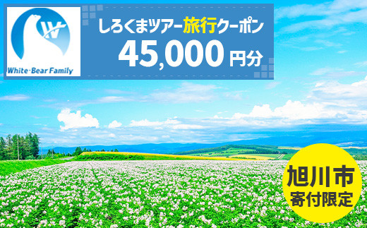 【旭川市】しろくまツアーで利用可能なWEB旅行クーポン (45,000円分) ※メール発行  【 旅 旅行 トラベル 予約 国内旅行 ホワイト・ベアーファミリー 宿泊 観光 体験 旅行券 宿泊券 旅行予約 ホテル 旅館 チケット 子供 子連れ カップル 家族 人気 おすすめ 旅行クーポン オンライン ネット予約 有効期間2年 】_05440