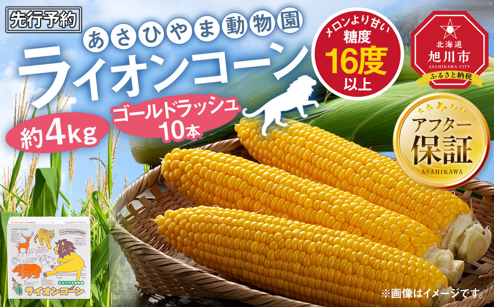 【26年発送先行予約】あさひやま動物園ライオンコーン約4kg(ゴールドラッシュ10本)2026年8月下旬から発送開始予定 【 とうもろこし 人気 北海道 糖度 野菜 スイートコーン 産地直送 ゴールドラッシュ コーン 旬 お取り寄せ 旭川市 北海道 】_00307