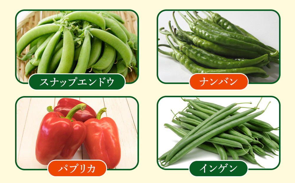 【先行予約】旭川のおまかせ野菜セット(トマト2kg＋3種以上)(2026年7月下旬発送開始)_05910