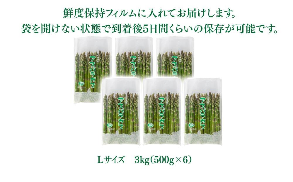 【2026年先行予約】朝採りアスパラ Lサイズ 3kg（500g×6）鮮度保持パック入り 旭川近郊産 露地物(5月中旬発送開始予定) 【 アスパラ アスパラガス 朝採り とれたて 野菜 旬 小分け 保存 産直 産地直送 お取り寄せ 旭川市 北海道 】_01592