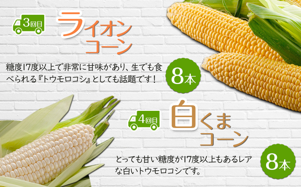 ã26幎5æçºééå§ããã«å€ªé å®æäŸ¿Mã»ããïŒã¢ã¹ãã©ãèµ€èã¡ãã³ãã©ã€ãªã³ã³ãŒã³ãçœããŸã³ãŒã³ãç·çµãç¡æ·»å é®ã€ã¯ã©é€æ²¹æŒ¬ãïŒå
š6å _03826