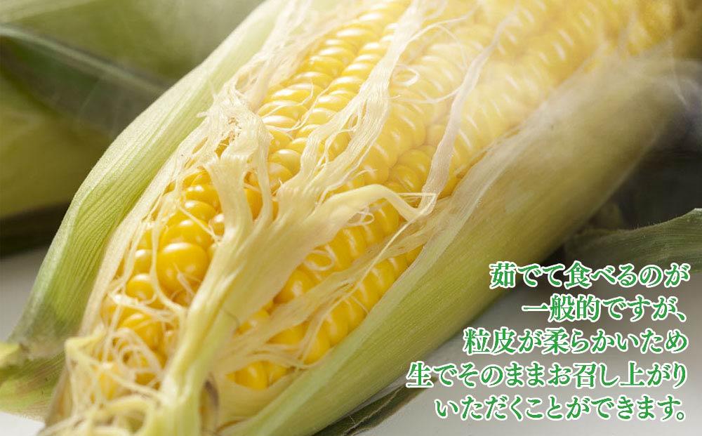 【先行予約】【旭川近郊産】黄色いとうもろこし（ゴールドラッシュ）4kg（11-13本）(2025年8月上旬発送予定) 【 人気 北海道産 糖度 生 野菜 スイートコーン 産地直送 バーベキュー BBQ コーン 旬 お取り寄せ 旭川市 北海道 送料無料 】_00092