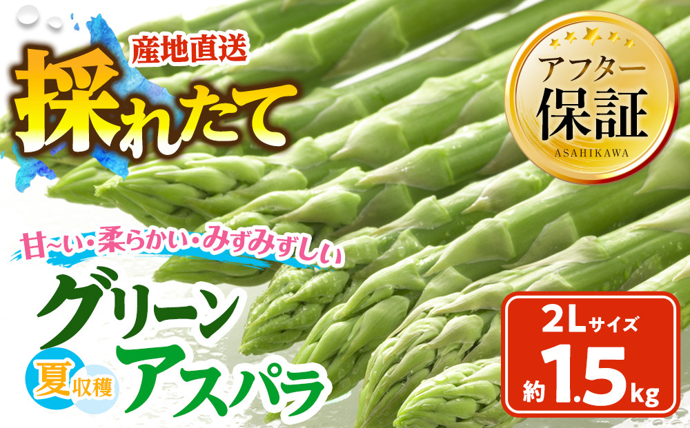 【2026年先行予約】夏収穫グリーンアスパラ 2Lサイズ 1.5kg（2026年7月下旬から発送開始予定）【 アスパラ アスパラガス 朝採り とれたて 野菜 旬 小分け 保存 産直 産地直送 お取り寄せ 旭川市 北海道 】_00415