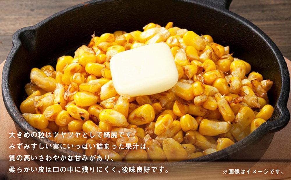 ã26幎çºéå
è¡äºçŽãããã²ããŸåç©åã©ã€ãªã³ã³ãŒã³çŽ3.2kg(ãŽãŒã«ãã©ãã·ã¥8æ¬)2026幎8æäžæ¬ããçºééå§äºå® ã ãšããããã äººæ° åæµ·é ç³åºŠ éè ã¹ã€ãŒãã³ãŒã³ ç£å°çŽé ãŽãŒã«ãã©ãã·ã¥ ã³ãŒã³ æ¬ ãåãå¯ã æå·åž åæµ·é ã_03812