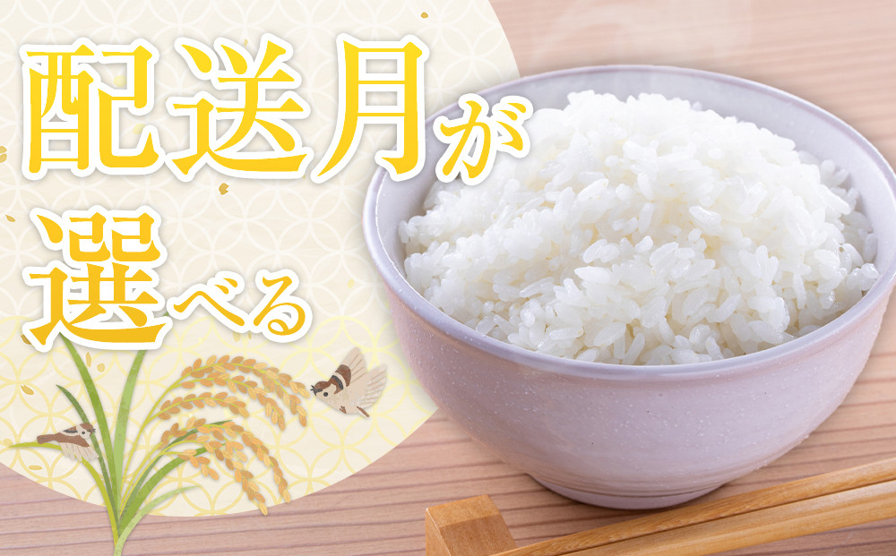令和7年産 旭川産ななつぼし10kg (5kg×2袋) (精白米)【 特A  北海道産 白米 精米 ご飯 ごはん 米 10kg お米 ななつぼし 旭川産  旭川市ふるさと納税 北海道ふるさと納税 特A ふるさと納税 旭川市 北海道 】_05957