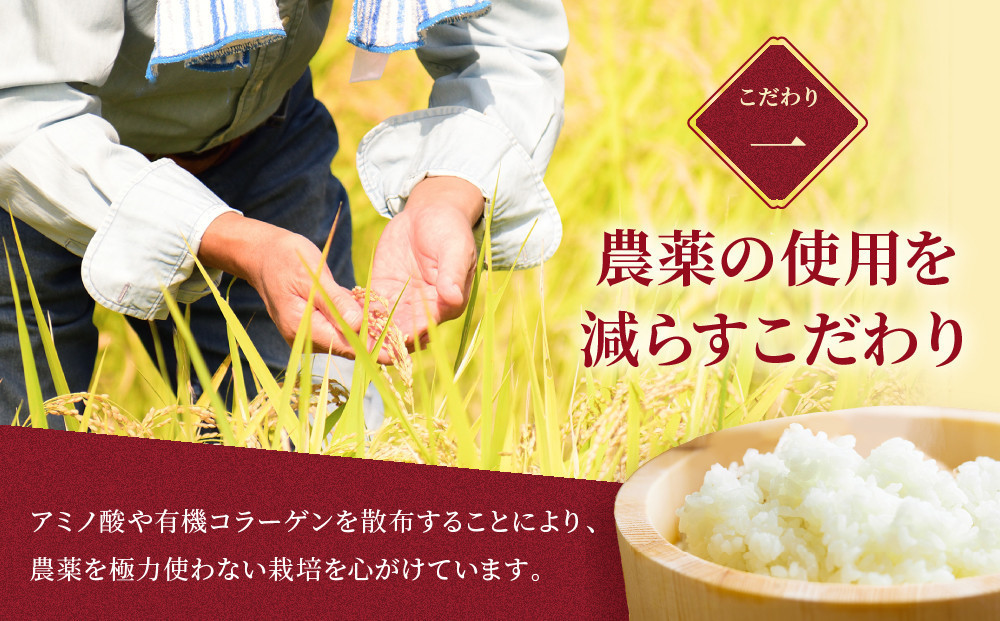 【３回隔月定期便】令和7年産　ゆめぴりか 5kg×2袋 10kg_05682