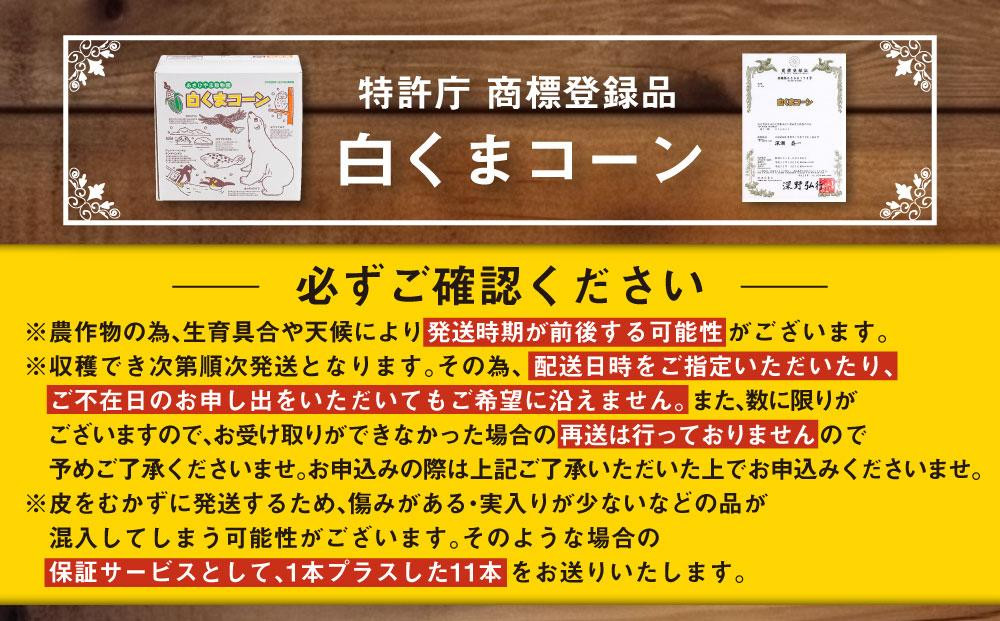 【26年発送先行予約】あさひやま動物園しろくまコーン 10本（約4kg）2026年8月下旬から発送開始予定 【 とうもろこし 人気 北海道 糖度 野菜 白いとうもろこし 白いスイートコーン 産地直送 ホワイトレディ コーン 玉蜀黍 旬 お取り寄せ 旭川市 北海道 】_00308
