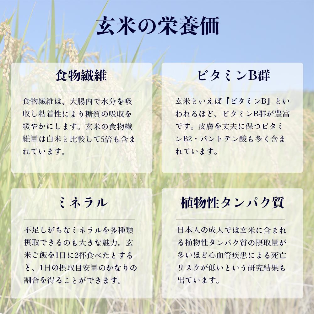 【令和６年産・玄米・真空パック・低農薬栽培】 あさひかわ産 ななつぼし玄米 ３kg×８袋 脱酸素剤入 _03127