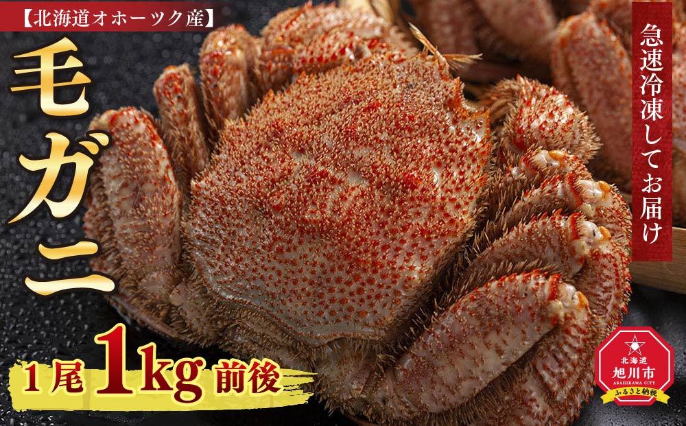 北海道 オホーツク産 毛ガニ 1尾 1kg前後 カニ 蟹 毛ガニ 毛蟹 毛がに 毛カニ 冷凍 お取り寄せ 旭川市 北海道ふるさと納税 送料無料 北海道_01189