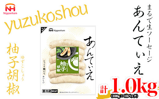 【ふるさと納税】無塩せき ウインナー あんてぃえ 柚子胡椒 100g x 10p 計1.0kg ［食品 無塩せきウインナー ソーセージ ゆず こしょう 国内製造 北海道 旭川 無塩せきソーセージ 発色剤不使用 日本ハム 小分け 定期便 パーティー お弁当 おつまみ 冷蔵 送料無料］_05367