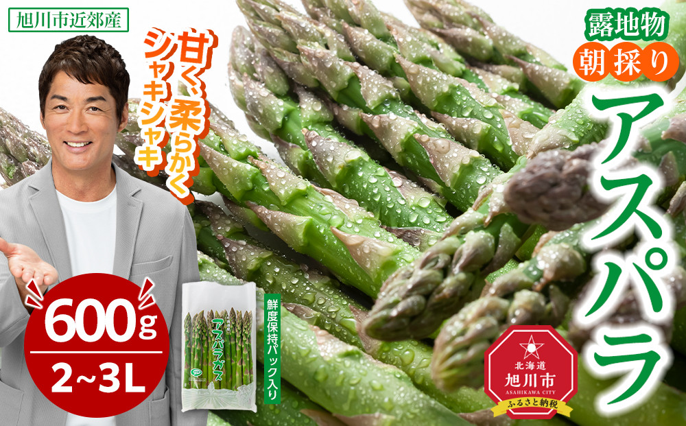 【2026年先行予約】露地物朝採りアスパラ　鮮度保持フィルム入り　2～3L　600g(5月中旬発送開始予定) 【 アスパラ アスパラガス 朝採り とれたて 野菜 旬 小分け 保存 産直 産地直送 お取り寄せ 旭川市 北海道 】_03816
