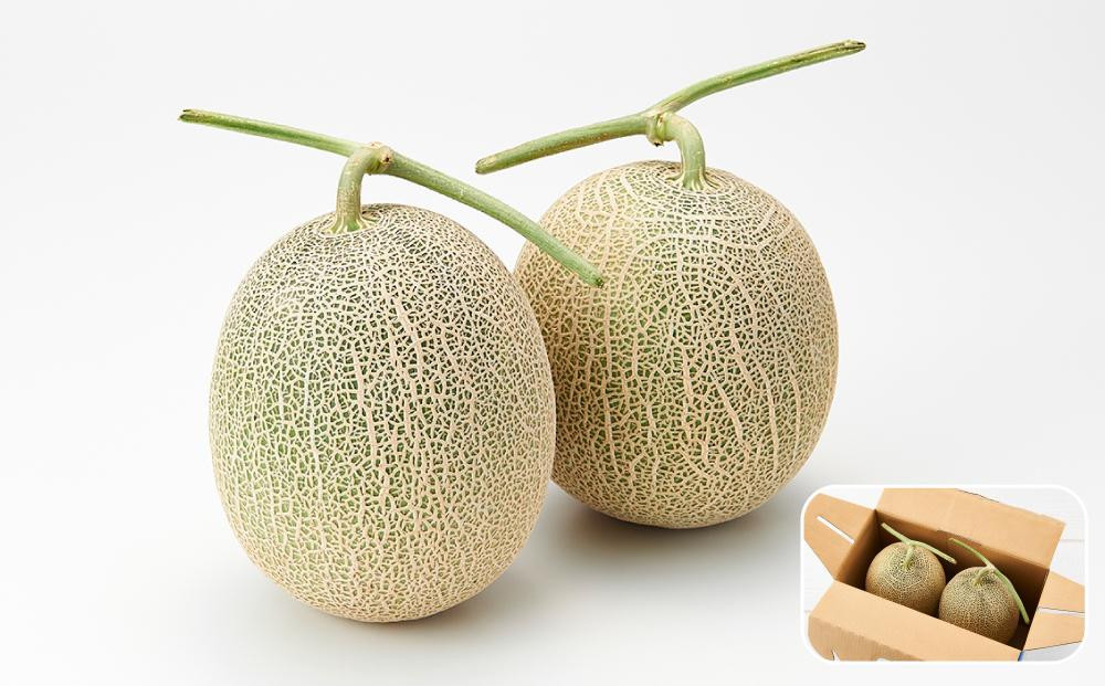 【26年発送先行予約】北海道産赤肉メロン約1.3kg×1玉 (2026年7月中旬から発送開始予定)【 果物 くだもの フルーツ メロン 赤肉 赤肉メロン 旬 お取り寄せ 甘い 北海道産 旭川市 北海道 】_05228