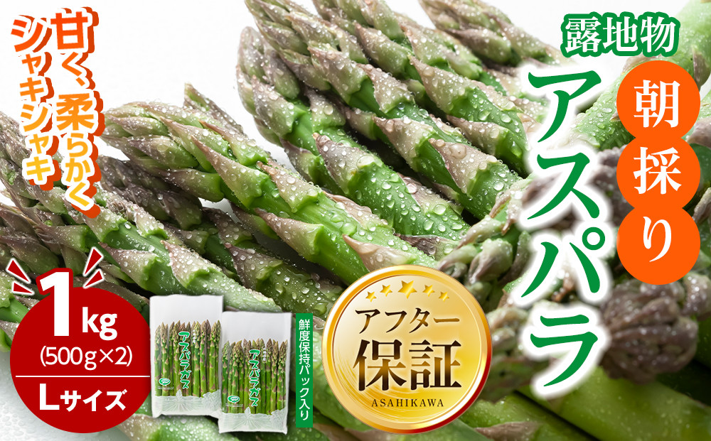 朝採りアスパラ Lサイズ 1kg（500g×2）鮮度保持パック入り 旭川近郊産 露地物(5月中旬発送開始予定) 【 アスパラ アスパラガス 朝採り とれたて 野菜 旬 小分け 保存 産直 産地直送 お取り寄せ 旭川市 北海道 】_01590