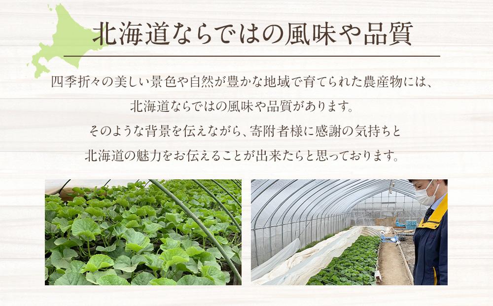 【25年発送先行予約】北海道「赤肉メロン」L玉×2個（2025年7月中旬発送開始予定）_00112