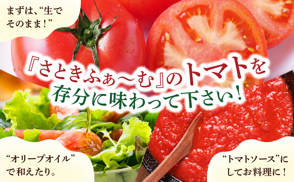 旭川市西神楽産 桃太郎トマト2kg_05907