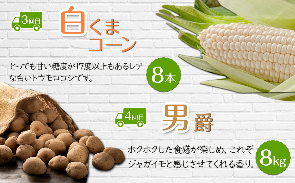 【26年5月発送開始】かに太郎 定期便Kセット（アスパラ、赤肉メロン、白くまコーン、男爵、無添加鮭イクラ醤油漬け）全5回 _03824