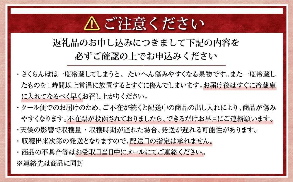 【先行予約】農家直送！ 品種お任せ  Lサイズ バラ詰め1kg（500g×2パック）（2026年6月末から発送開始予定）水澤果樹園 【 さくらんぼ サクランボ 果物 くだもの フルーツ デザート 旬 お取り寄せ 甘い 北海道産 人気 ランキング 北海道 旭川市 産地直送 】_01179