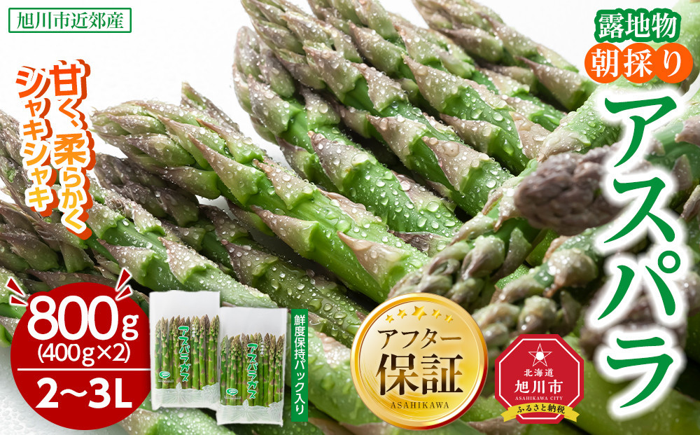 【2026年先行予約】露地物朝採りアスパラ 2L～3Lサイズ800g（400g×2）鮮度保持フィルム入り(5月中旬発送開始予定) 【 アスパラ アスパラガス 朝採り とれたて 野菜 旬 小分け 保存 産直 産地直送 お取り寄せ 旭川市 北海道 】_01593