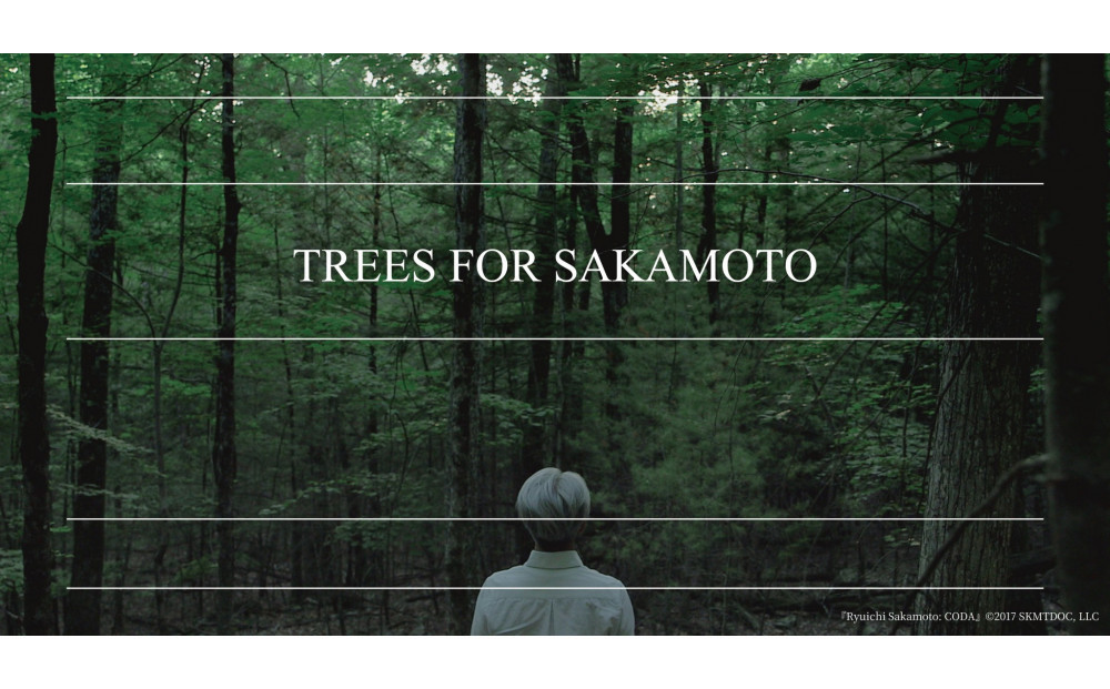 KODACHIïŒã³ããïŒ_05569