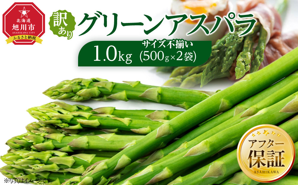 【先行予約】訳ありグリーンアスパラサイズ不揃い1kg（500g×2袋）2026年5月から発送開始予定 【 アスパラ アスパラガス 朝採り とれたて 野菜 旬 小分け 保存 産直 産地直送 お取り寄せ 旭川市 北海道 】_04841