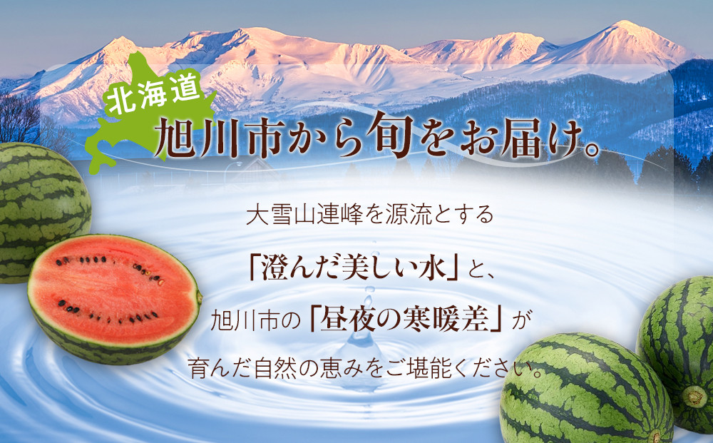 ã26幎çºéå
è¡äºçŽãåæµ·éç£å°çã¹ã€ã«çŽ1.6kgÃ2ç (2026幎7æäžæ¬ããçºééå§äºå®)_02063
